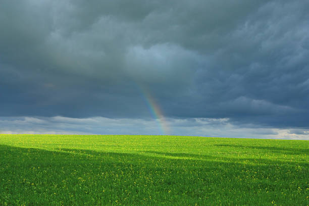 arco-íris após a tempestade com trovoadaweather condition - end of the rainbow imagens e fotografias de stock