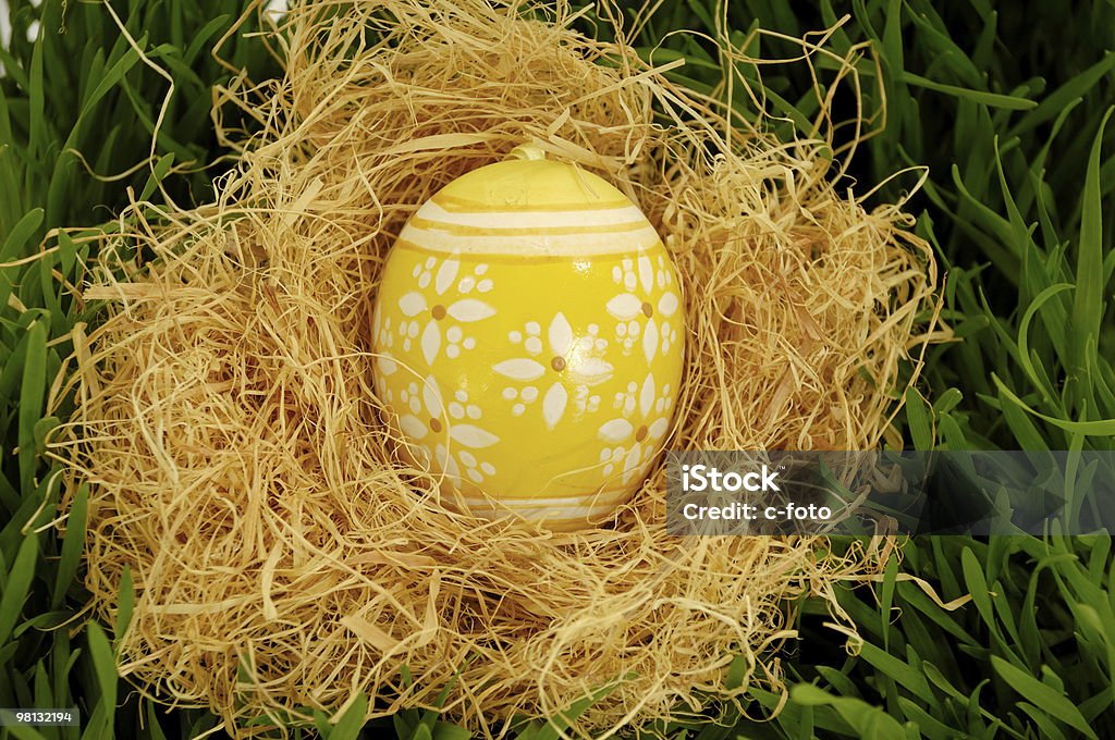 Painted easter egg in nest  Animal Nest Stock Photo