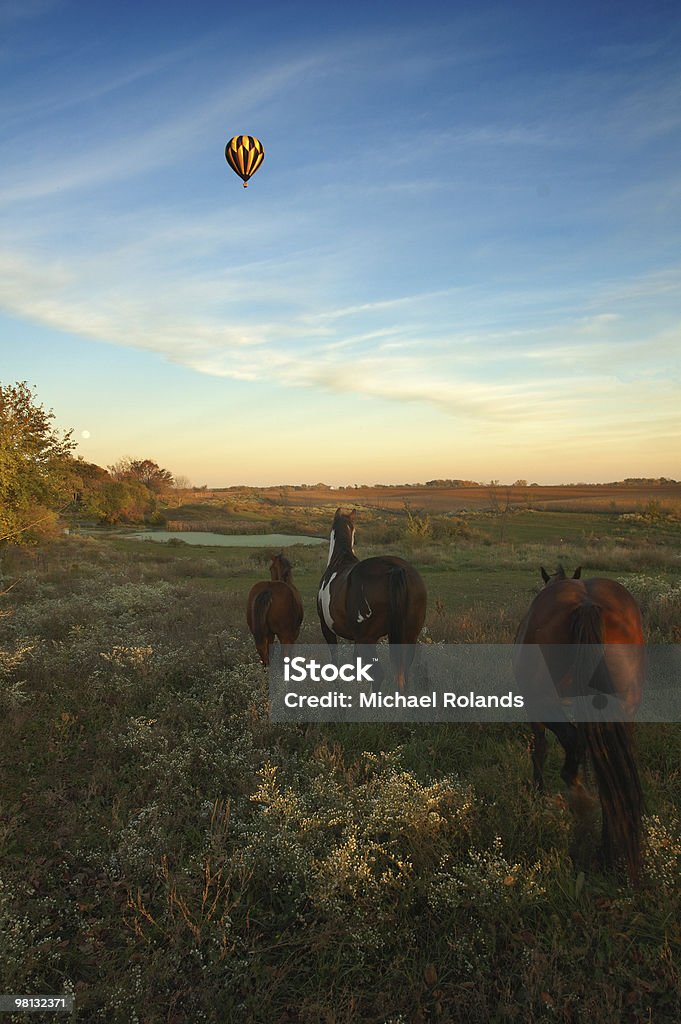 Balão de ar quente e cavalos - Foto de stock de Iowa royalty-free