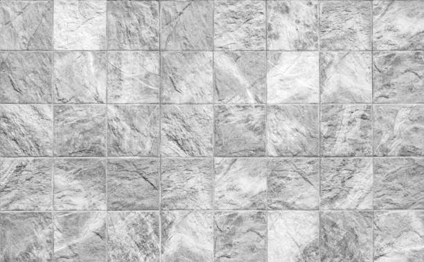 istock Closeup surface brick marble stone wall texture background in black and white tone 981327706