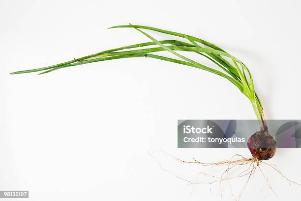 Onion Stock Photo - Download Image Now - Dirt, Onion, Cut Out