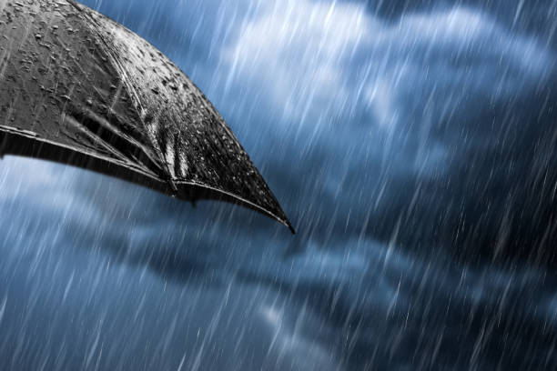 istock Rain drops from a black umbrella concept for bad weather, winter or protection 981356510