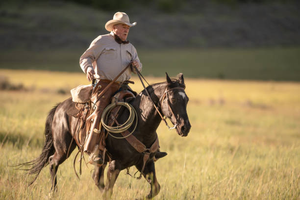 istock Senior cowboy horseback riding 981357232