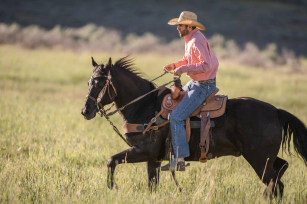 istock Cowboy Horseback Riding 981357244