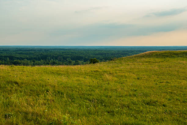 istock rural landscape in the evening in a hilly area. 981358268