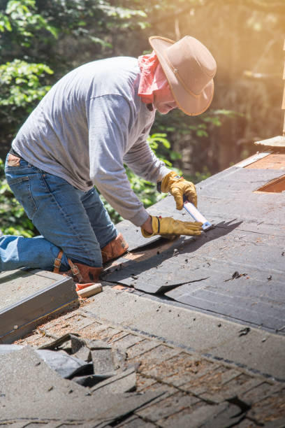 istock Re-roofing a home. Removing nails. 981384438