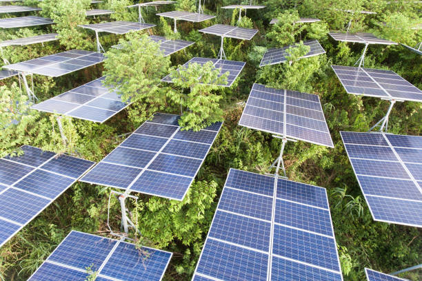 istock Beautiful sunset over Solar Farm 981384962