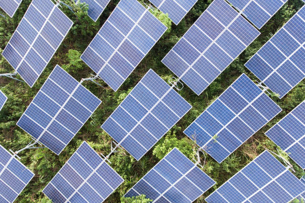 istock Beautiful sunset over Solar Farm 981385058