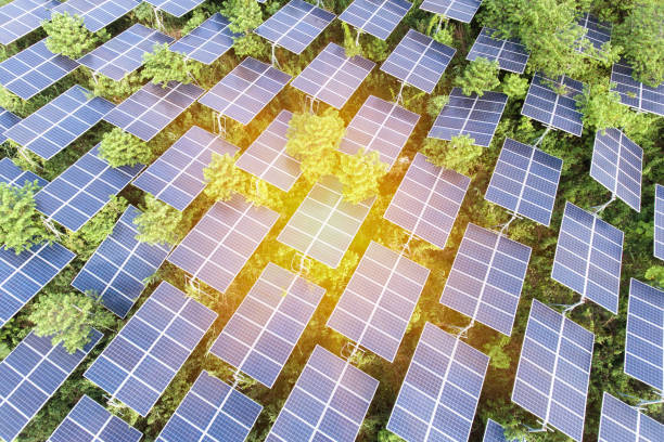 istock Beautiful sunset over Solar Farm 981385066