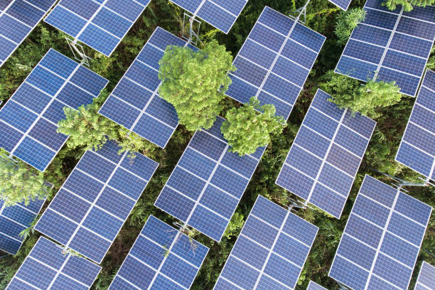 istock Beautiful sunset over Solar Farm 981385082