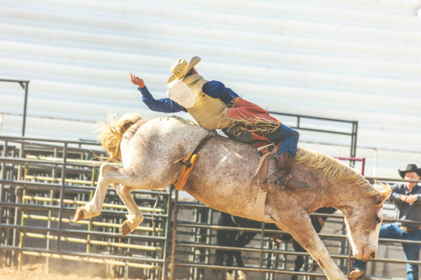 utah cowboy седло бронк арена bareback верховая езда западной на открытом воздухе и родео stampede раундап верховая езда лошади выпаса скота - bareback стоковые фото и изображения