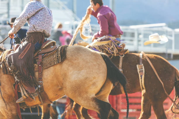 utah cowboy седло бронк арена bareback верховая езда западной на открытом воздухе и родео stampede раундап верховая езда лошади выпаса скота - bareback стоковые фото и изображения