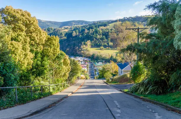 Photo of Baldwin Street which is located in Dunedin,New Zealand is the world steepest street in the world.