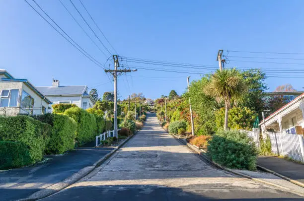 Photo of Baldwin Street which is located in Dunedin,New Zealand is the world steepest street in the world.
