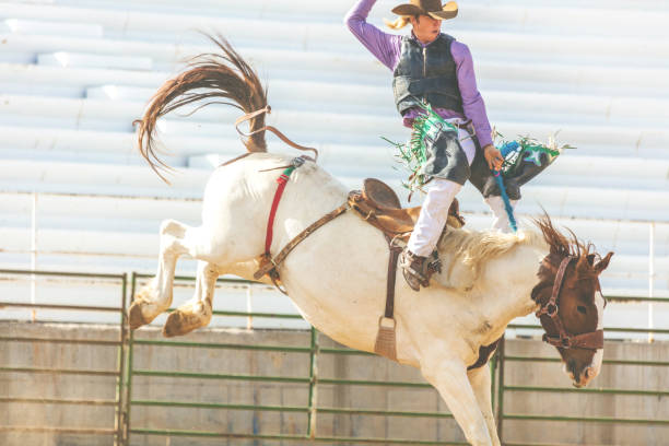 utah cowboy седло бронк арена bareback верховая езда западной на открытом воздухе и родео stampede раундап верховая езда лошади выпаса скота - bareback стоковые фото и изображения