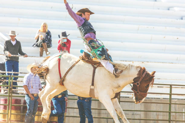 utah cowboy седло бронк арена bareback верховая езда западной на открытом воздухе и родео stampede раундап верховая езда лошади выпаса скота - bareback стоковые фото и изображения