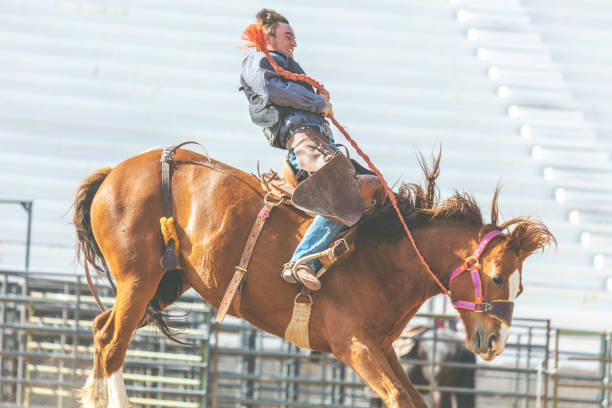 utah cowboy седло бронк арена bareback верховая езда западной на открытом воздухе и родео stampede раундап верховая езда лошади выпаса скота - bareback стоковые фото и изображения