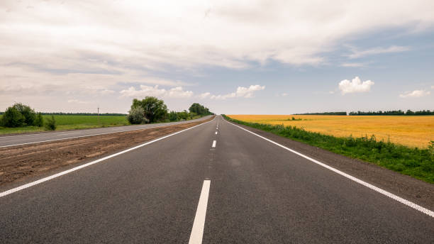 istock The motorway with white markings running along the field with wheat. 981398496