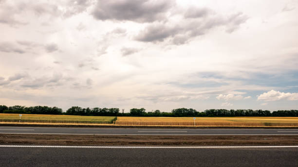 istock The motorway with white markings running along the field with wheat. 981398498