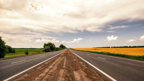 istock The motorway with white markings running along the field with wheat. 981398506