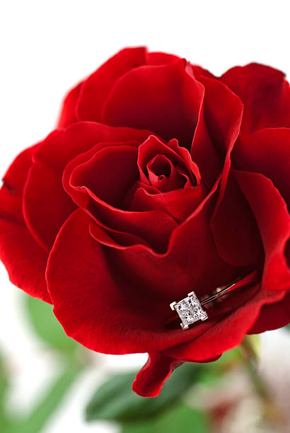 istock Modern diamond engagement ring in red rose 98140519