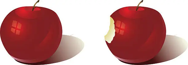 Vector illustration of Red Apple