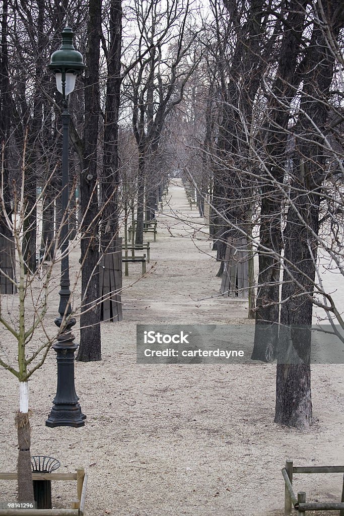 Inverno Terra brulla alberi nel Giardino delle Tuileries, Parigi, Francia - Foto stock royalty-free di Albero