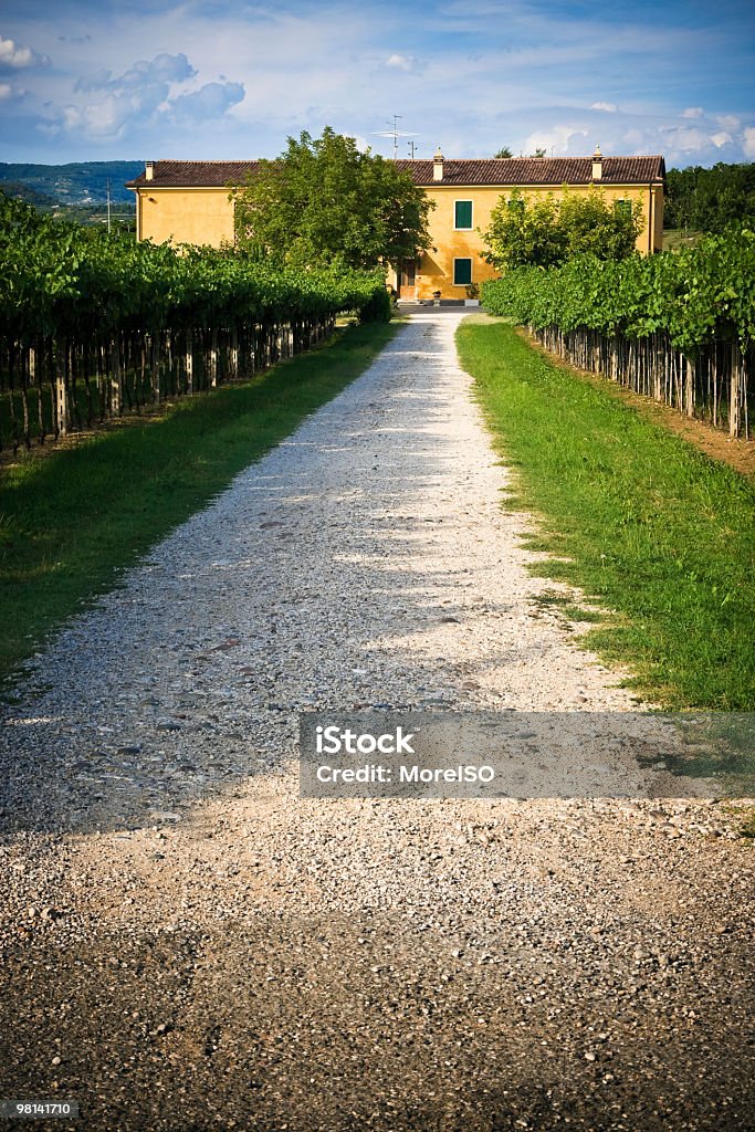 Ferme dans les vignobles - Photo de Agriculture libre de droits