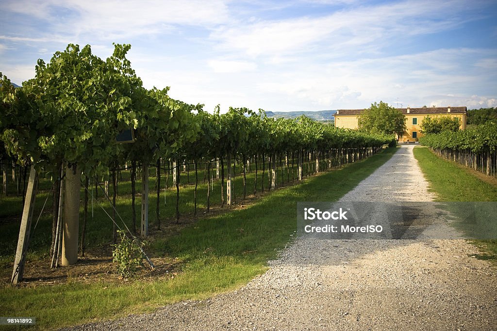 농가 in the vineyards - 로열티 프리 0명 스톡 사진