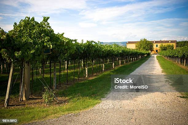 농가 In The Vineyards 0명에 대한 스톡 사진 및 기타 이미지 - 0명, 건물 외관, 건축물