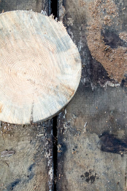 istock Old wooden board with natural texture. 981419196