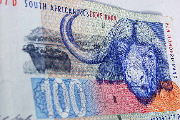 południowej afryki buffalo banknotów - 4729 zdjęcia i obrazy z banku zdjęć