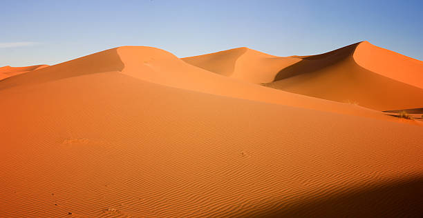 サハラ砂漠 - landscape desert wave pattern erg chebbi dunes ストックフォトと画像