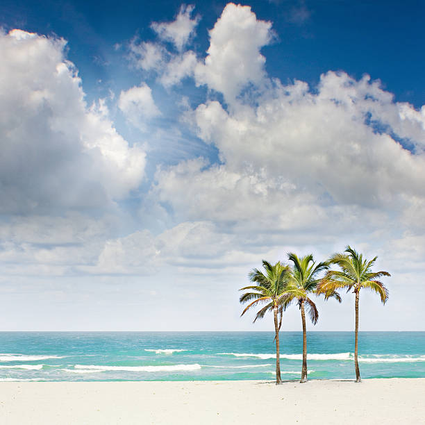 Sol Tropical Praia paraíso - fotografia de stock