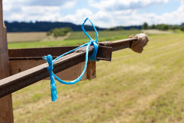 rope knot on a trailer harvesting at rural countryside farm in south germany