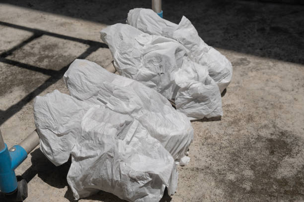 istock Sneakers shoes wrapped in tissue 981433582