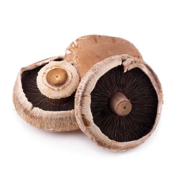 istock Portobello mushrooms isolated on a white background 981434642