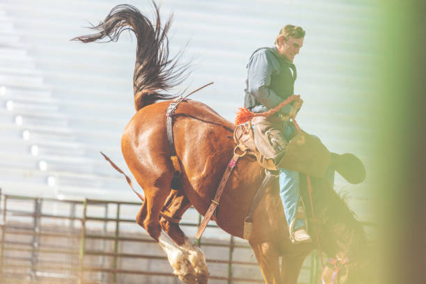 utah cowboy седло бронк арена bareback верховая езда западной на открытом воздухе и родео stampede раундап верховая езда лошади выпаса скота - bareback стоковые фото и изображения