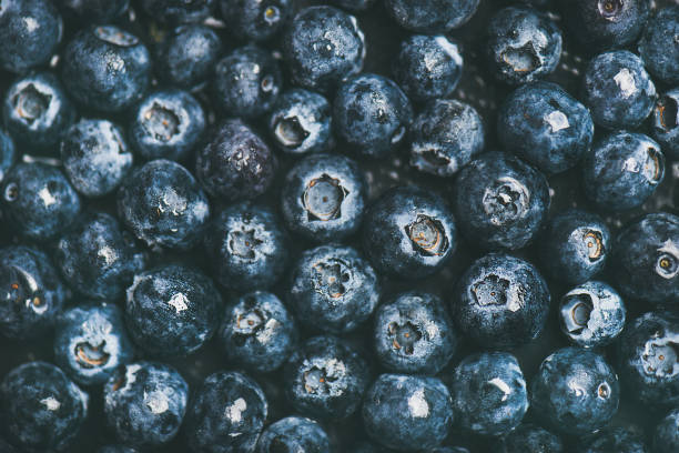 Fresh blueberry background. Texture blueberry berries top view