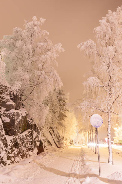 istock Street at winter night 981455570