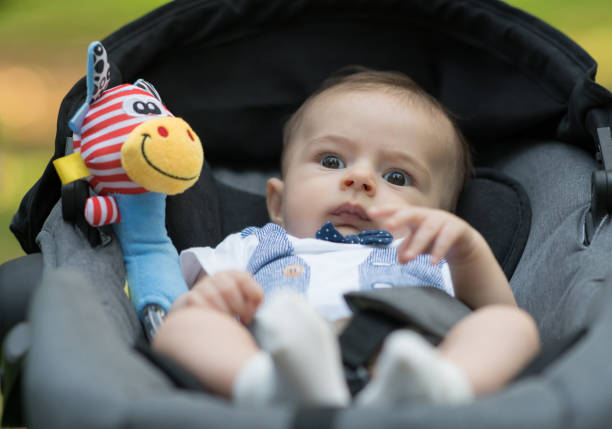 istock Baby boy in the pram 981455670
