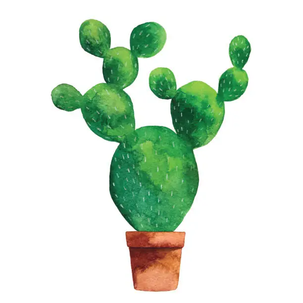 Vector illustration of Watercolor Cactus
