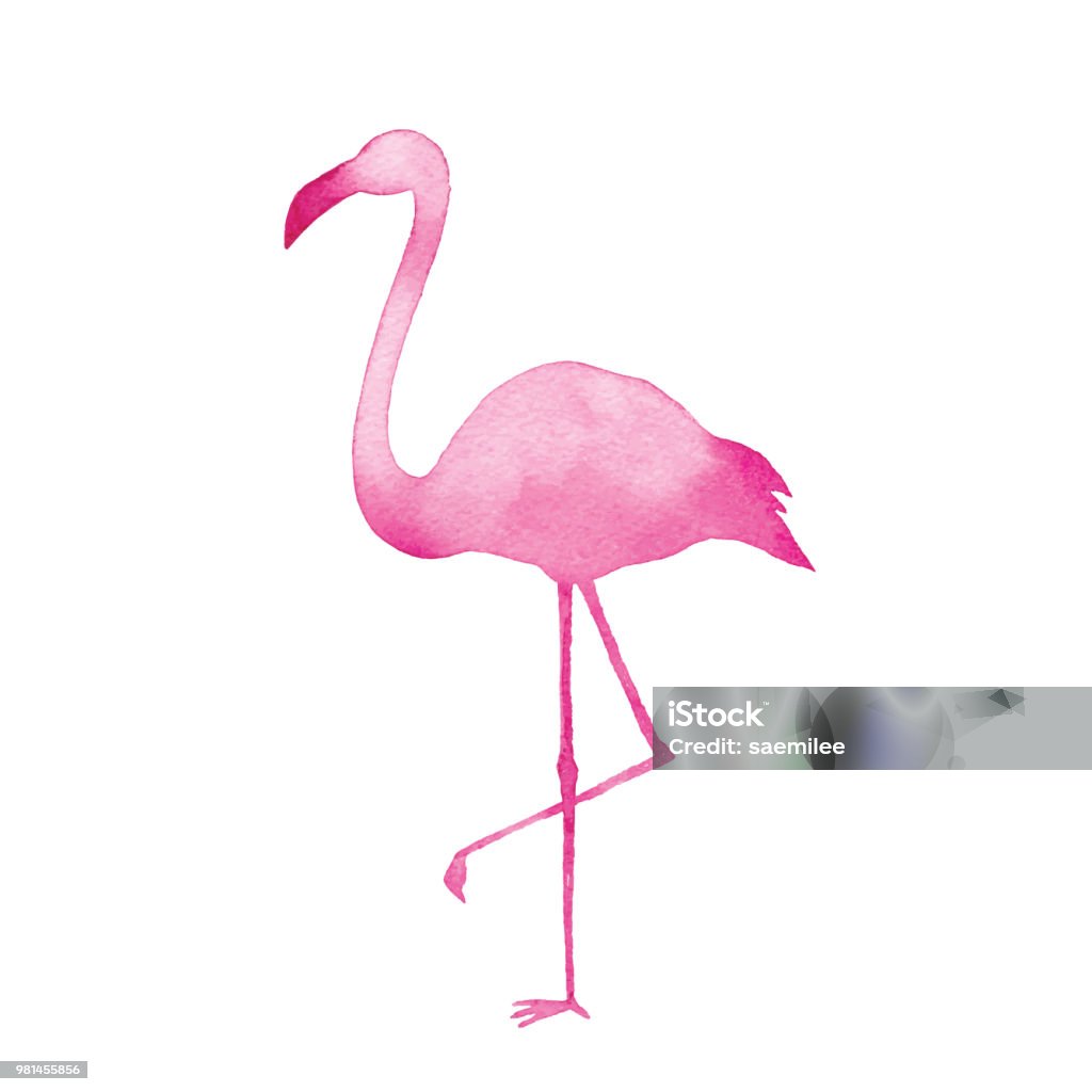 Watercolor Pink Flamingo Vector illustration of watercolor flamingo. Flamingo stock vector