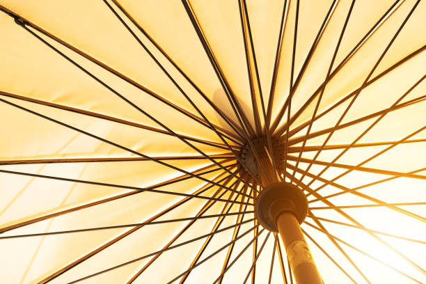istock summer season coming, yellow umbrella low angle view under sunshine 981471744