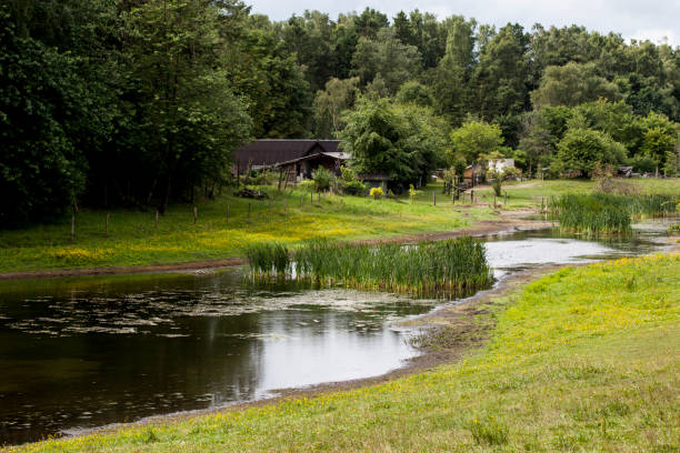 istock Idyllic Pond in the Summertime - Jutland 981478392