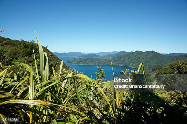 Foto de Bush Mar E Céu Magníficas Paisagens Da Nova Zelândia e mais fotos de stock de Arbusto