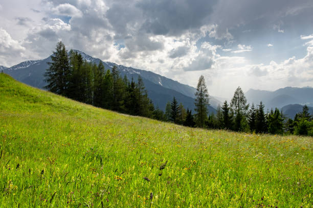 istock Mountains and meadows in the Austrian Alps 981482552