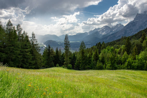 prato lussureggiante e valle del fiume inn nelle alpi austriache - european alps flower north tirol holiday foto e immagini stock