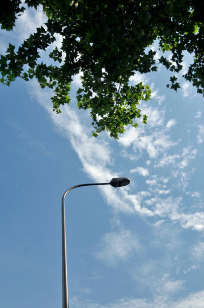 istock Low Angle View Of street light Against Sky 981489362