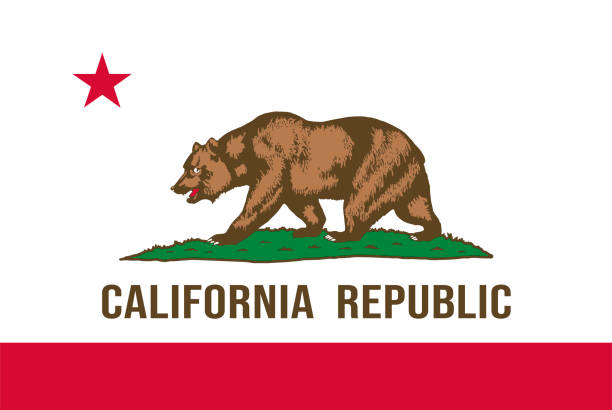 illustrazioni stock, clip art, cartoni animati e icone di tendenza di bandiera dello stato della california. illustrazione vettoriale - silicon valley